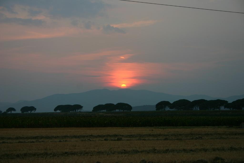 Appartamenti Il Granaio Marina di Grosseto Exterior foto
